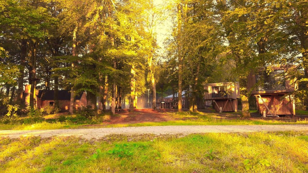 L'Etape En Foret Saint-Sever-Calvados Exterior photo